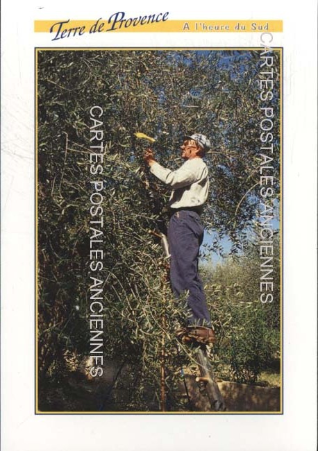 Cartes postales anciennes > CARTES POSTALES > carte postale ancienne > cartes-postales-ancienne.com Provence alpes cote d'azur Avignon