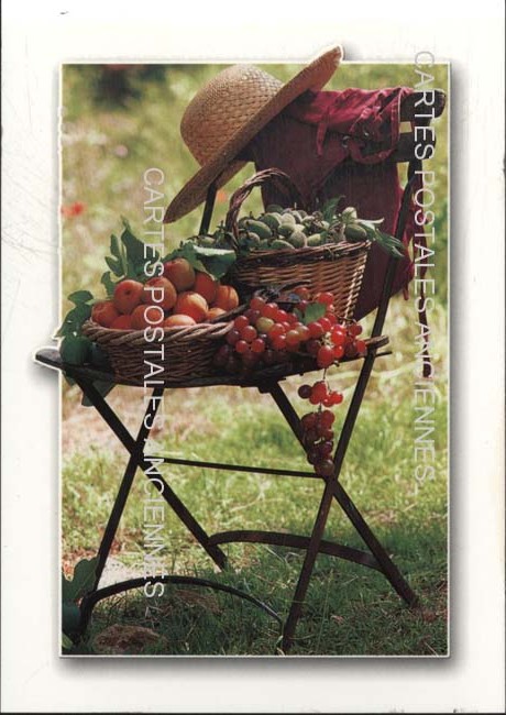 Cartes postales anciennes > CARTES POSTALES > carte postale ancienne > cartes-postales-ancienne.com Provence alpes cote d'azur Avignon