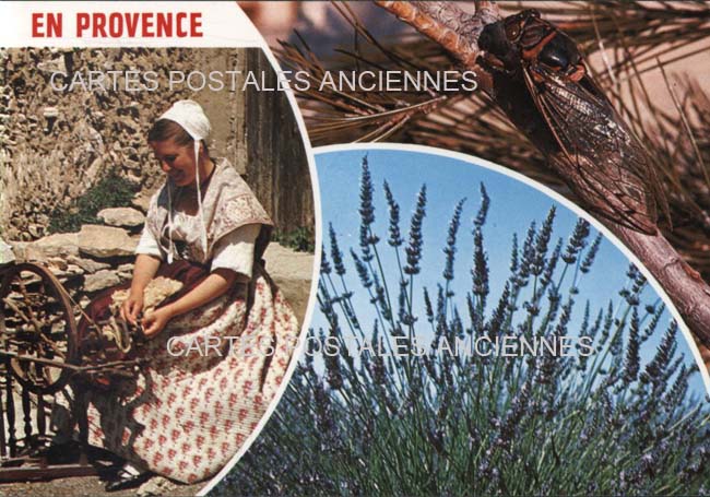 Cartes postales anciennes > CARTES POSTALES > carte postale ancienne > cartes-postales-ancienne.com Provence alpes cote d'azur Avignon