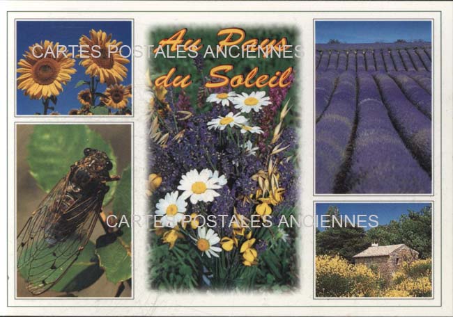 Cartes postales anciennes > CARTES POSTALES > carte postale ancienne > cartes-postales-ancienne.com Provence alpes cote d'azur Avignon