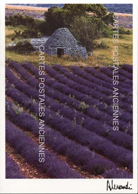 Cartes postales anciennes > CARTES POSTALES > carte postale ancienne > cartes-postales-ancienne.com Provence alpes cote d'azur Avignon