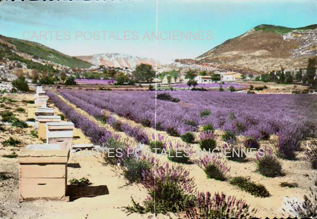 Cartes postales anciennes > CARTES POSTALES > carte postale ancienne > cartes-postales-ancienne.com Provence alpes cote d'azur Fontaine De Vaucluse
