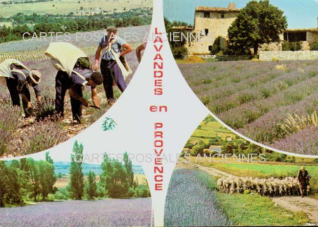 Cartes postales anciennes > CARTES POSTALES > carte postale ancienne > cartes-postales-ancienne.com Provence alpes cote d'azur Bollene