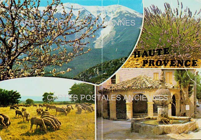 Cartes postales anciennes > CARTES POSTALES > carte postale ancienne > cartes-postales-ancienne.com Provence alpes cote d'azur Orange