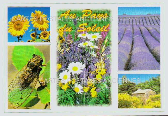 Cartes postales anciennes > CARTES POSTALES > carte postale ancienne > cartes-postales-ancienne.com Provence alpes cote d'azur Orange
