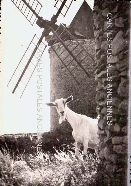 Cartes postales anciennes > CARTES POSTALES > carte postale ancienne > cartes-postales-ancienne.com Provence alpes cote d'azur Bollene