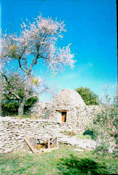 Cartes postales anciennes > CARTES POSTALES > carte postale ancienne > cartes-postales-ancienne.com Provence alpes cote d'azur Vaucluse Sarrians