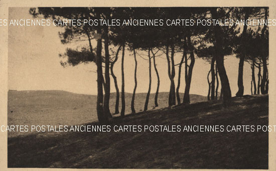 Cartes postales anciennes > CARTES POSTALES > carte postale ancienne > cartes-postales-ancienne.com Pays de la loire Vendee Sion-Sur-l'Ocean