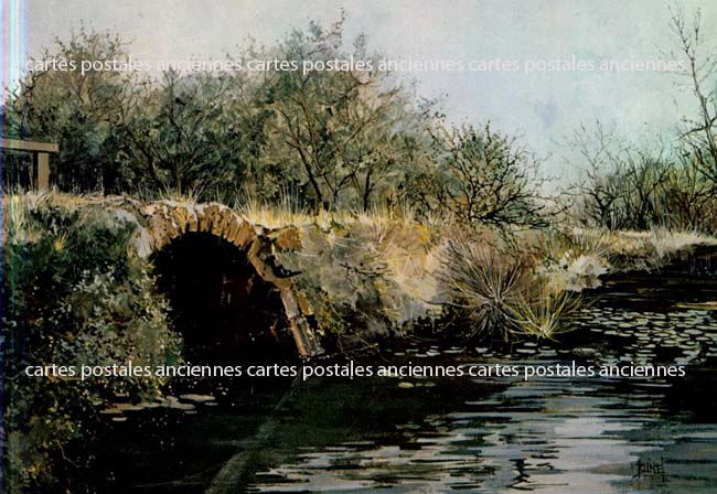 Cartes postales anciennes > CARTES POSTALES > carte postale ancienne > cartes-postales-ancienne.com Pays de la loire Vendee Falleron