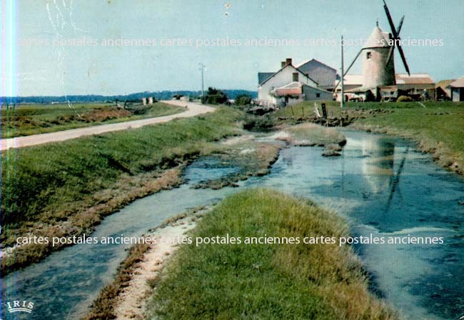 Cartes postales anciennes > CARTES POSTALES > carte postale ancienne > cartes-postales-ancienne.com Pays de la loire Vendee La Roche Sur Yon