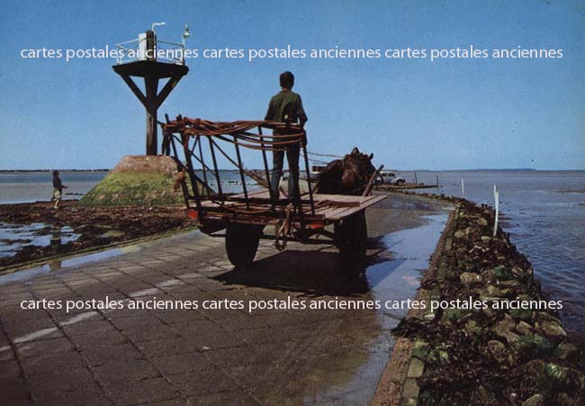 Cartes postales anciennes > CARTES POSTALES > carte postale ancienne > cartes-postales-ancienne.com Pays de la loire Vendee Les Herbiers