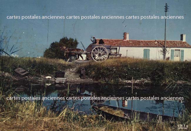 Cartes postales anciennes > CARTES POSTALES > carte postale ancienne > cartes-postales-ancienne.com Pays de la loire Vendee Vouille Les Marais