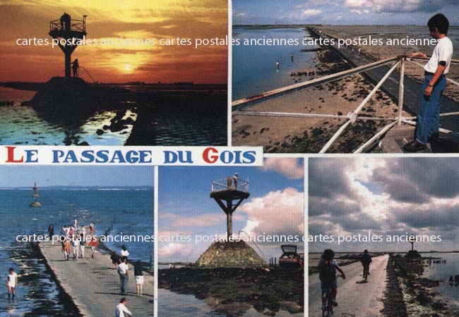 Cartes postales anciennes > CARTES POSTALES > carte postale ancienne > cartes-postales-ancienne.com Pays de la loire Vendee Beauvoir Sur Mer
