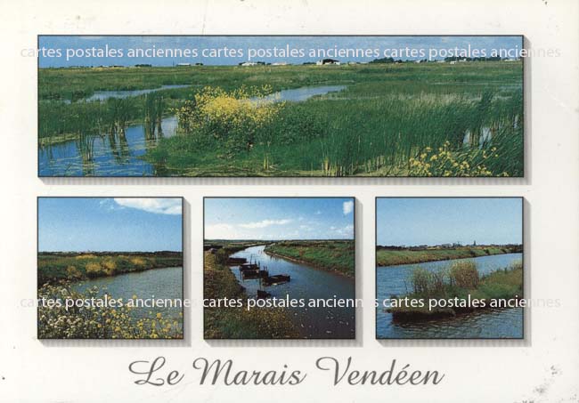 Cartes postales anciennes > CARTES POSTALES > carte postale ancienne > cartes-postales-ancienne.com Pays de la loire Vendee La Barre De Monts