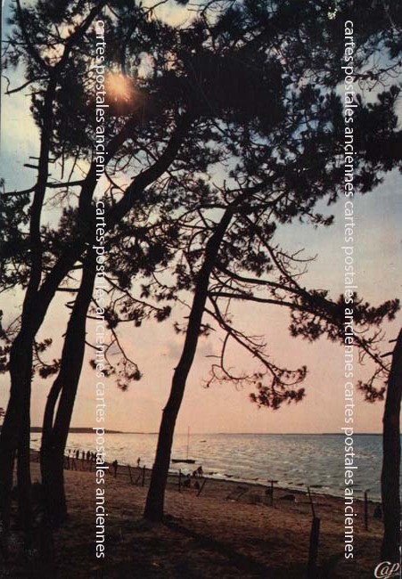 Cartes postales anciennes > CARTES POSTALES > carte postale ancienne > cartes-postales-ancienne.com Pays de la loire Vendee Saint Jean De Monts