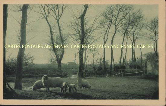 Cartes postales anciennes > CARTES POSTALES > carte postale ancienne > cartes-postales-ancienne.com Pays de la loire Vendee Sion-Sur-l'Ocean