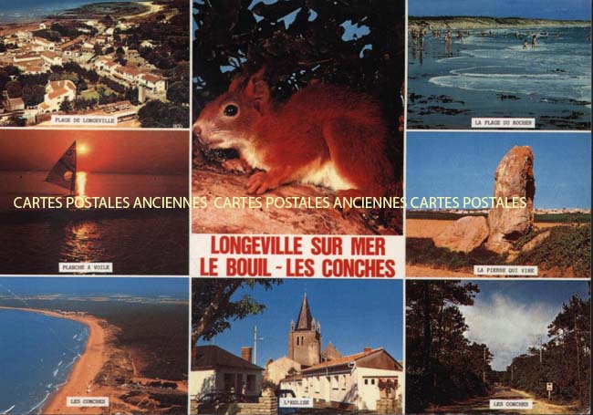 Cartes postales anciennes > CARTES POSTALES > carte postale ancienne > cartes-postales-ancienne.com Pays de la loire Vendee Saint Hilaire De Riez