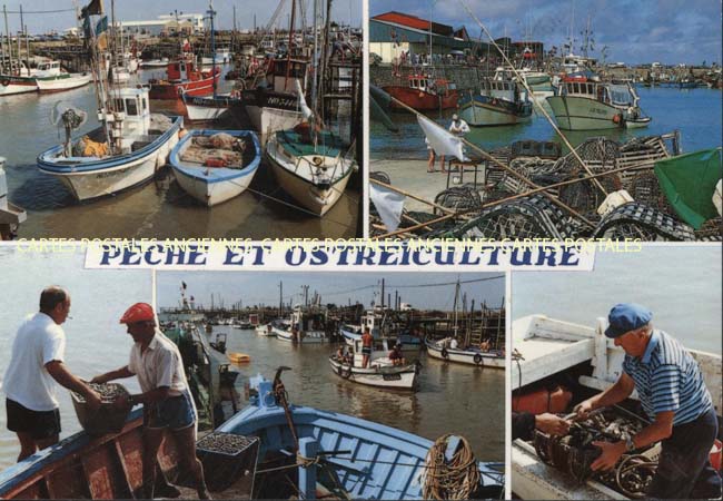 Cartes postales anciennes > CARTES POSTALES > carte postale ancienne > cartes-postales-ancienne.com Pays de la loire Vendee La Barre De Monts