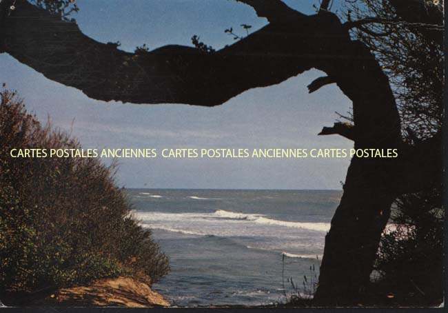 Cartes postales anciennes > CARTES POSTALES > carte postale ancienne > cartes-postales-ancienne.com Pays de la loire Vendee Jard Sur Mer