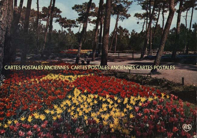 Cartes postales anciennes > CARTES POSTALES > carte postale ancienne > cartes-postales-ancienne.com Pays de la loire Vendee La Tranche Sur Mer