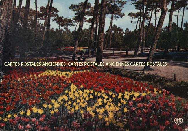 Cartes postales anciennes > CARTES POSTALES > carte postale ancienne > cartes-postales-ancienne.com Pays de la loire Vendee La Tranche Sur Mer