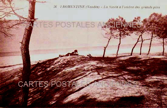 Cartes postales anciennes > CARTES POSTALES > carte postale ancienne > cartes-postales-ancienne.com Pays de la loire Vendee Fromentine