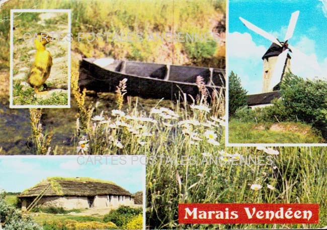 Cartes postales anciennes > CARTES POSTALES > carte postale ancienne > cartes-postales-ancienne.com Pays de la loire Vendee Saint Gilles Croix De Vie