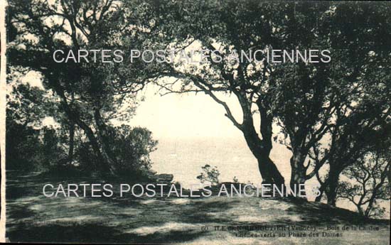 Cartes postales anciennes > CARTES POSTALES > carte postale ancienne > cartes-postales-ancienne.com Pays de la loire Vendee Noirmoutier-en-l'Ile