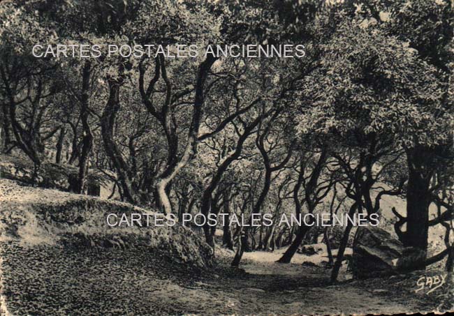 Cartes postales anciennes > CARTES POSTALES > carte postale ancienne > cartes-postales-ancienne.com Pays de la loire Vendee Noirmoutier-en-l'Ile