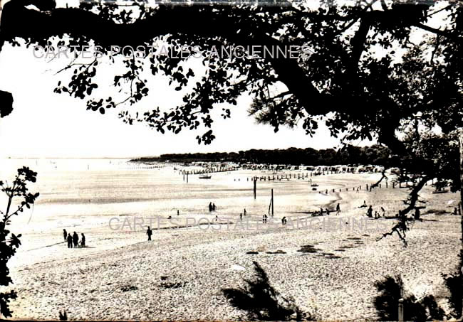 Cartes postales anciennes > CARTES POSTALES > carte postale ancienne > cartes-postales-ancienne.com Pays de la loire Vendee Noirmoutier-en-l'Ile