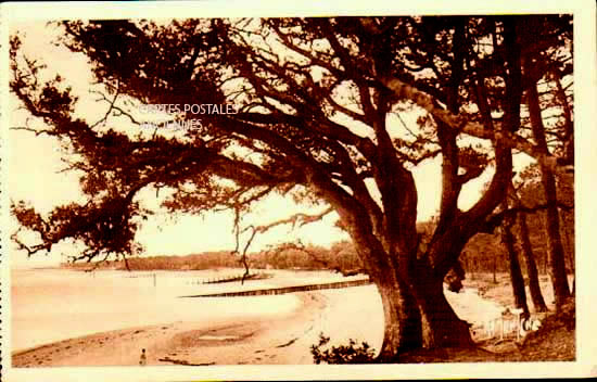 Cartes postales anciennes > CARTES POSTALES > carte postale ancienne > cartes-postales-ancienne.com Pays de la loire Vendee Noirmoutier-en-l'Ile