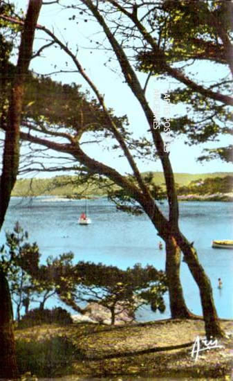 Cartes postales anciennes > CARTES POSTALES > carte postale ancienne > cartes-postales-ancienne.com Provence alpes cote d'azur Var Hyeres Plage