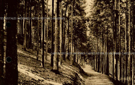 Cartes postales anciennes > CARTES POSTALES > carte postale ancienne > cartes-postales-ancienne.com Grand est Vosges Epinal