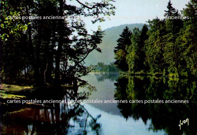 Cartes postales anciennes > CARTES POSTALES > carte postale ancienne > cartes-postales-ancienne.com Grand est Vosges Le Tholy
