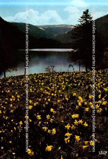 Cartes postales anciennes > CARTES POSTALES > carte postale ancienne > cartes-postales-ancienne.com Grand est Vosges La Bresse