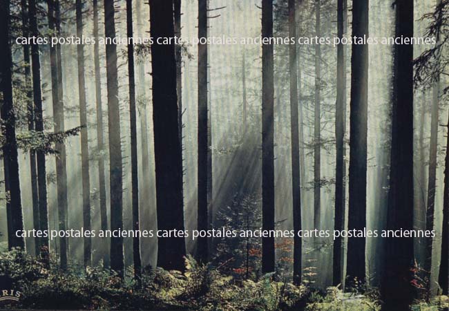 Cartes postales anciennes > CARTES POSTALES > carte postale ancienne > cartes-postales-ancienne.com Grand est Vosges Gerardmer