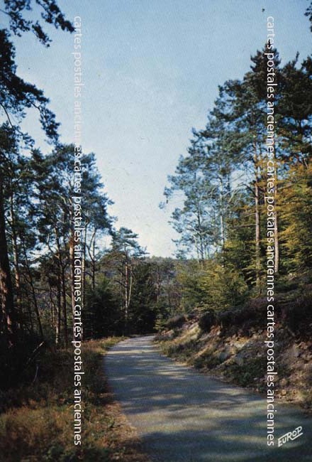 Cartes postales anciennes > CARTES POSTALES > carte postale ancienne > cartes-postales-ancienne.com Grand est Vosges Zincourt