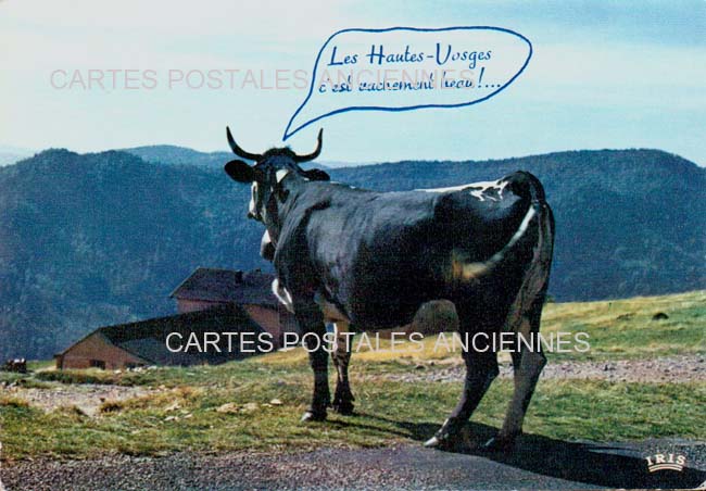 Cartes postales anciennes > CARTES POSTALES > carte postale ancienne > cartes-postales-ancienne.com Grand est Vosges Bussang