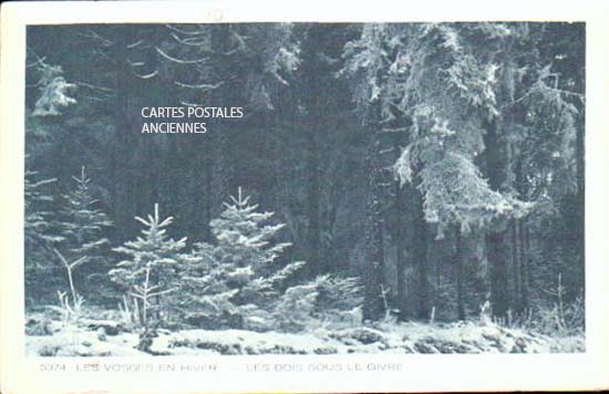 Cartes postales anciennes > CARTES POSTALES > carte postale ancienne > cartes-postales-ancienne.com Grand est Vosges Bussang