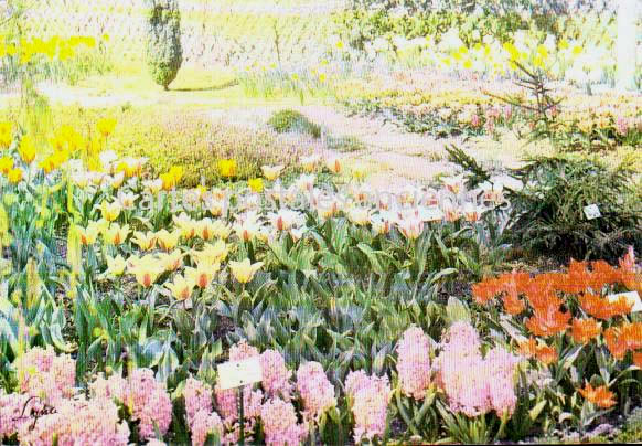Cartes postales anciennes > CARTES POSTALES > carte postale ancienne > cartes-postales-ancienne.com Ile de france Clamart