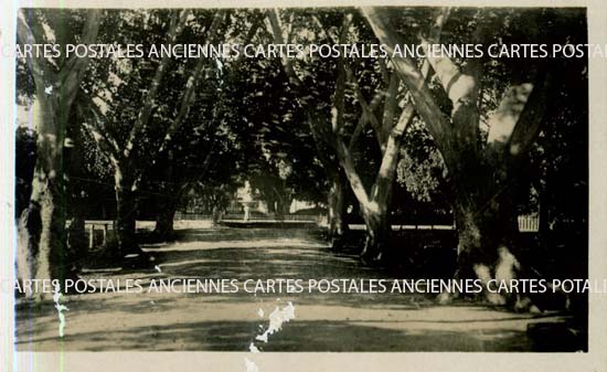 Cartes postales anciennes > CARTES POSTALES > carte postale ancienne > cartes-postales-ancienne.com Algerie