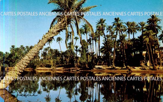 Cartes postales anciennes > CARTES POSTALES > carte postale ancienne > cartes-postales-ancienne.com Algerie