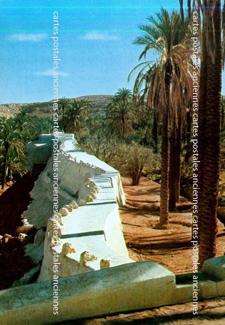 Cartes postales anciennes > CARTES POSTALES > carte postale ancienne > cartes-postales-ancienne.com Algerie