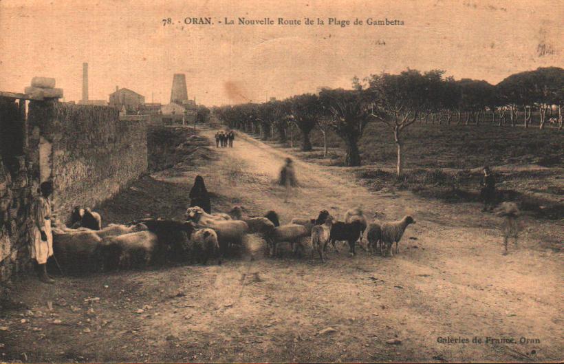 Cartes postales anciennes > CARTES POSTALES > carte postale ancienne > cartes-postales-ancienne.com Algerie Oran