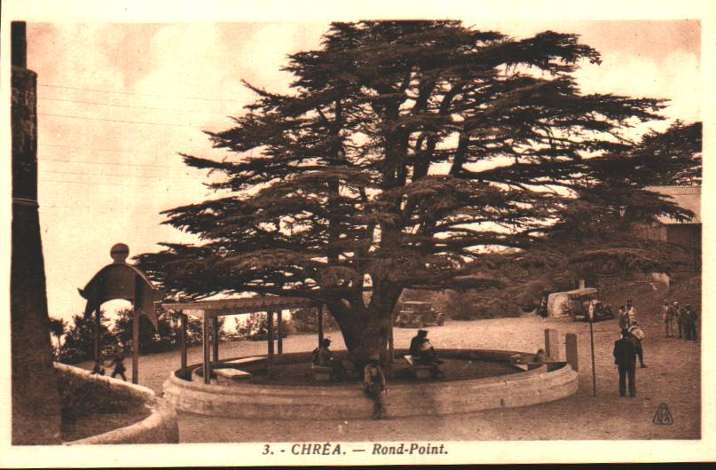 Algeria Chrea
