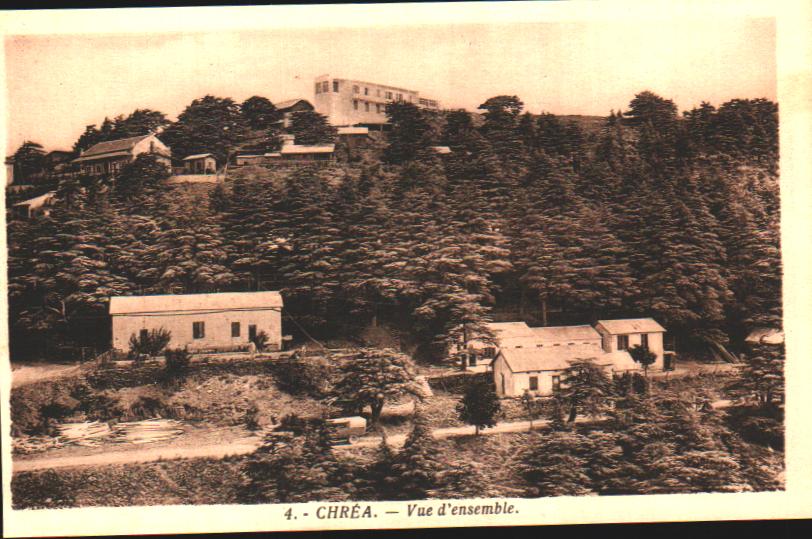 Algeria Chrea