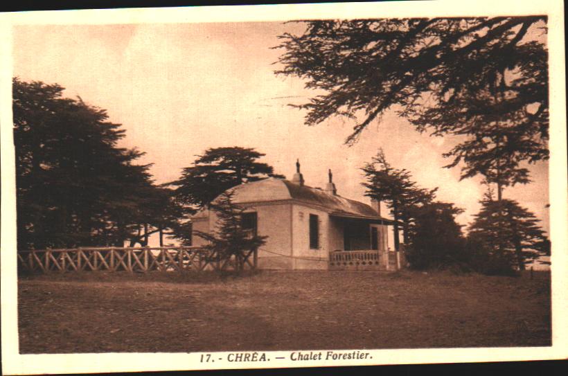 Algeria Chrea