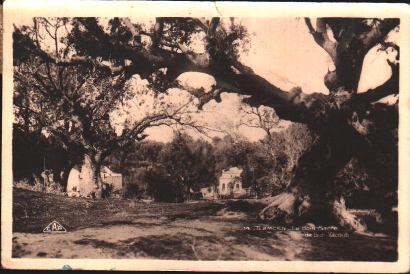 Cartes postales anciennes > CARTES POSTALES > carte postale ancienne > cartes-postales-ancienne.com Algerie