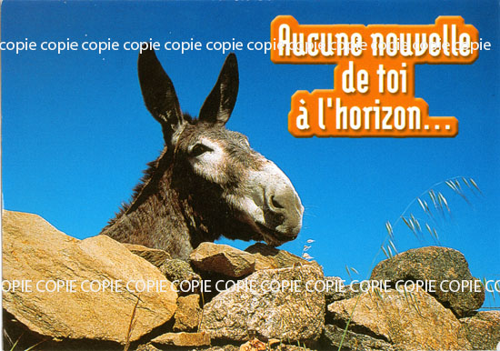 Cartes postales anciennes > CARTES POSTALES > carte postale ancienne > cartes-postales-ancienne.com Animaux