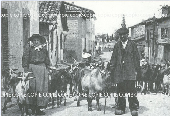 Cartes postales anciennes > CARTES POSTALES > carte postale ancienne > cartes-postales-ancienne.com Animaux
